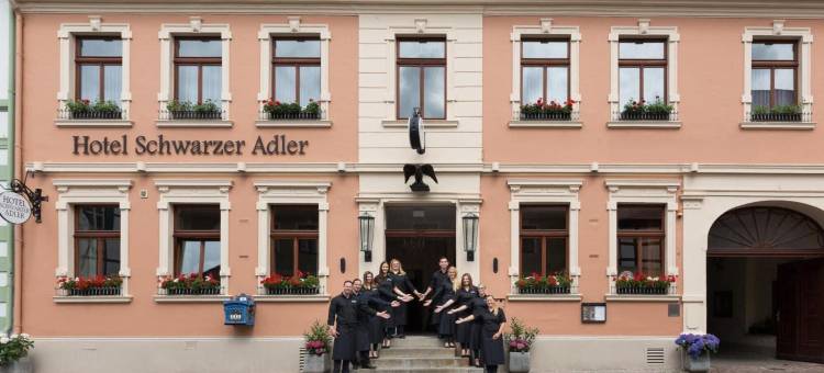 坦格尔明德施沃泽阿德勒酒店(Hotel Schwarzer Adler Tangermünde)图片