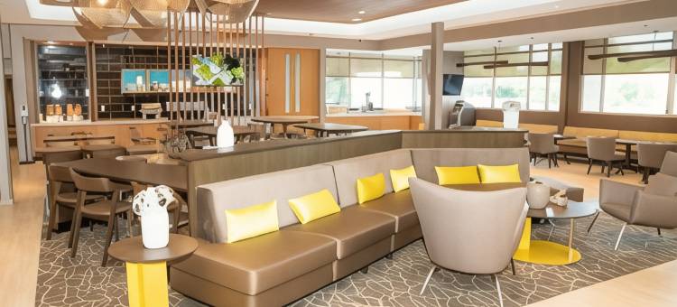 SpringHill Suites伍德布里奇酒店(SpringHill Suites Woodbridge)图片
