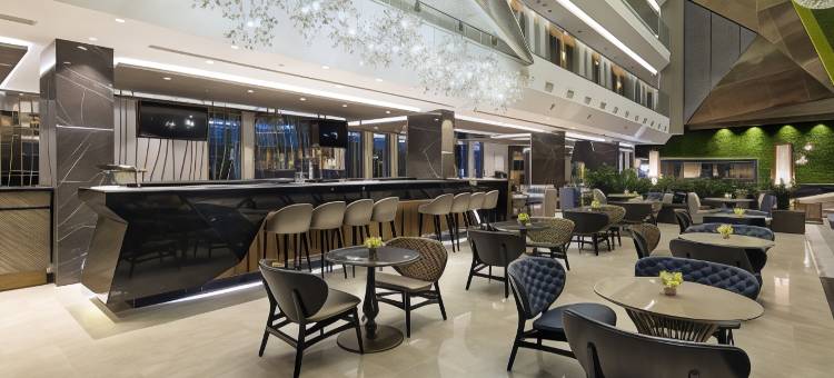 伊斯坦布尔希尔顿逸林酒店 - 皮亚利帕萨(DoubleTree by Hilton Istanbul - Piyalepasa)图片