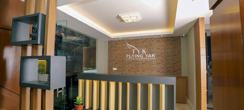 飞翔牦牛酒店(Flying Yak Kathmandu)图片