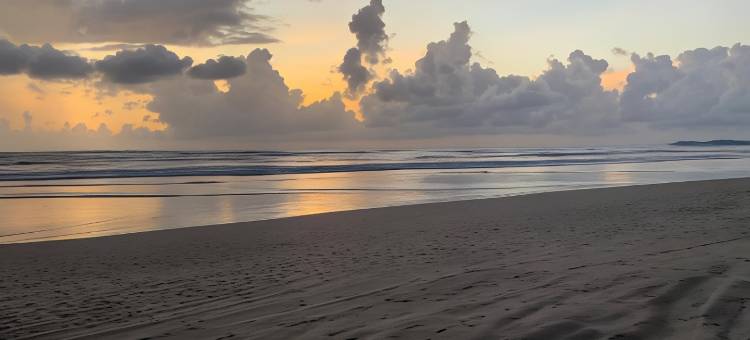 迪维加尔异域风情海滩度假酒店(Exotica Beach Retreats Diveagar)图片