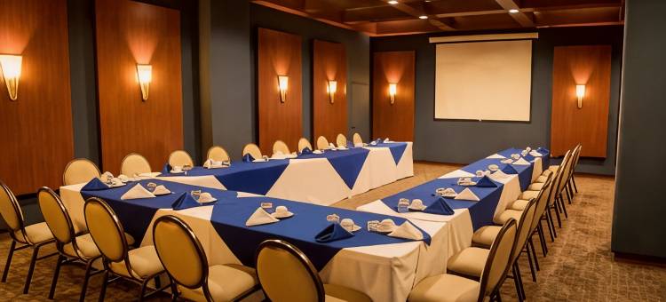 Balderrama酒店集合的圣塔安妮塔酒店(Hotel Santa Anita a Balderrama Hotel Collection)图片