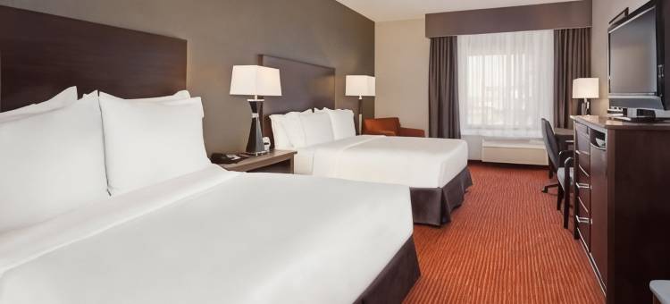 智选假日套房酒店拉皮德城(Holiday Inn Express & Suites Rapid City I-90)图片