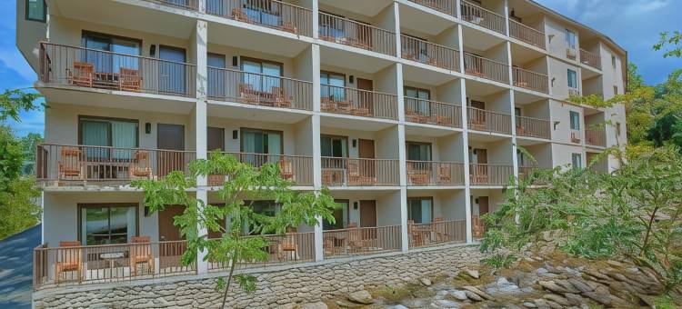 西德尼·詹姆斯山酒店(Sidney James Mountain Lodge)图片