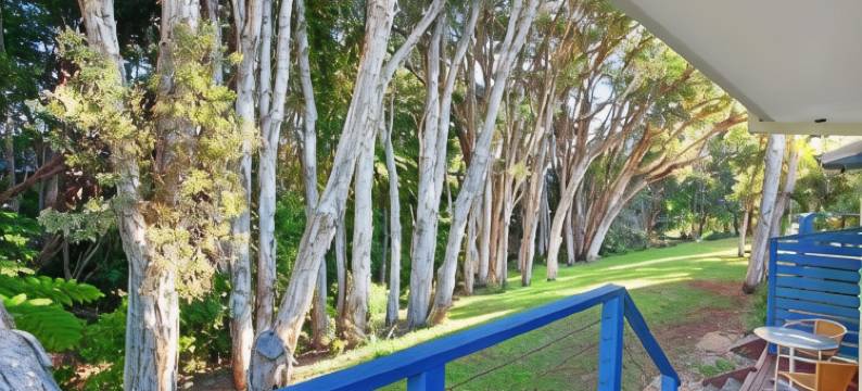 菲林冲浪海滩别墅酒店(Flynns on Surf Beach Villas)图片