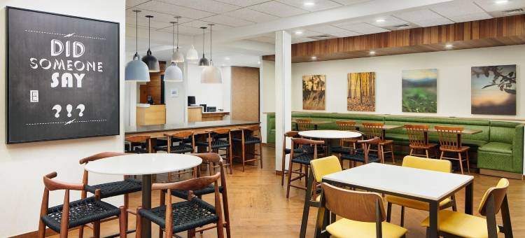 奥本沃斯特万枫酒店(Fairfield Inn & Suites Worcester Auburn)图片