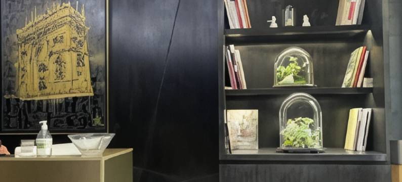 巴黎爱丽舍酒店(Hôtel Elysées Paris)图片