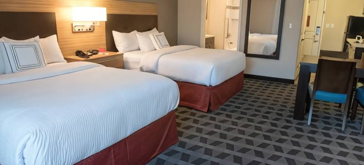 巴特尔克里克TownePlace套房酒店(TownePlace Suites Battle Creek)图片