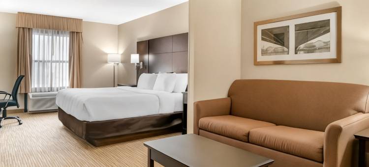 凯艺套房酒店(Quality Inn & Suites)图片