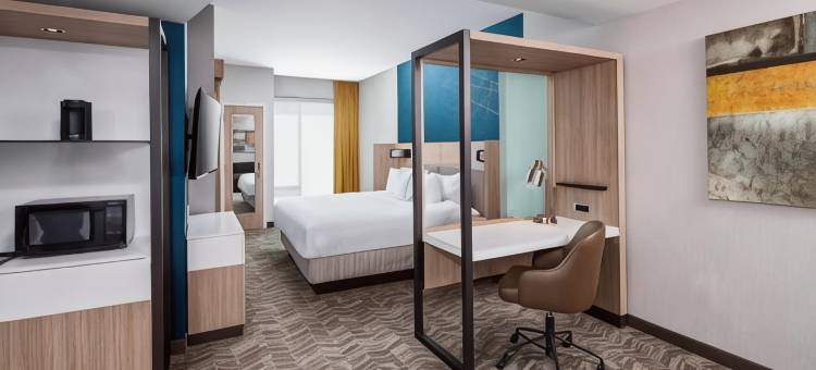 格林维尔市区万豪SpringHill Suites酒店(SpringHill Suites Greenville Downtown)图片