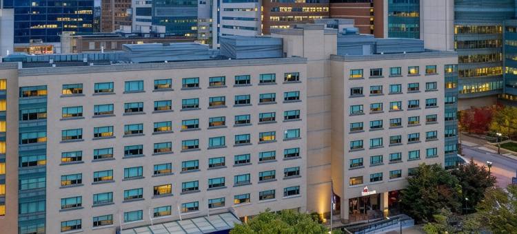 圣路易斯森林公园希尔顿逸林酒店(DoubleTree by Hilton St. Louis Forest Park)图片