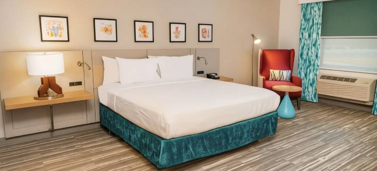 奥斯汀雪松公园希尔顿花园酒店(Hilton Garden Inn  Cedar Park Austin)图片