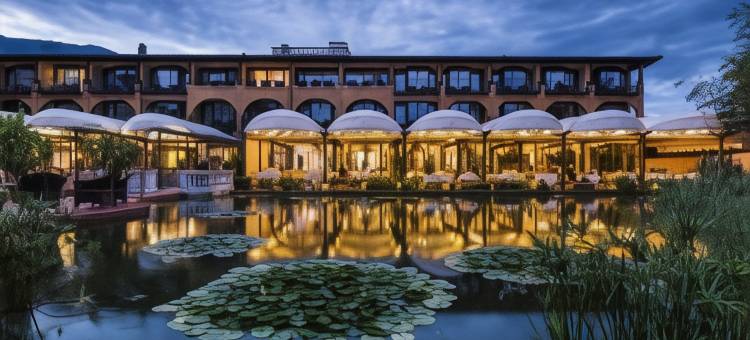 阿斯科纳贾尔迪诺酒店(Giardino Ascona)图片
