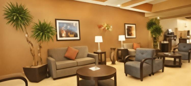 智选假日套房酒店伯锡尔城(Holiday Inn Express & Suites Bossier City)图片