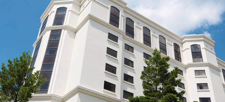 桑椹温德姆酒店(Mulberry, a Wyndham Hotel)图片