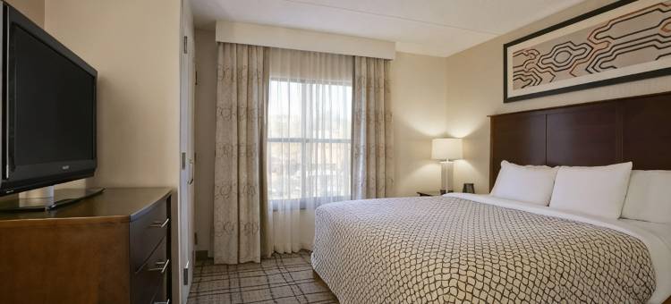 克利夫兰比奇伍德希尔顿安泊酒店(Embassy Suites by Hilton Cleveland Beachwood)图片