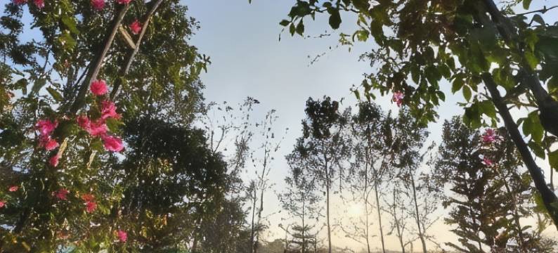 Peacevalleyresort图片