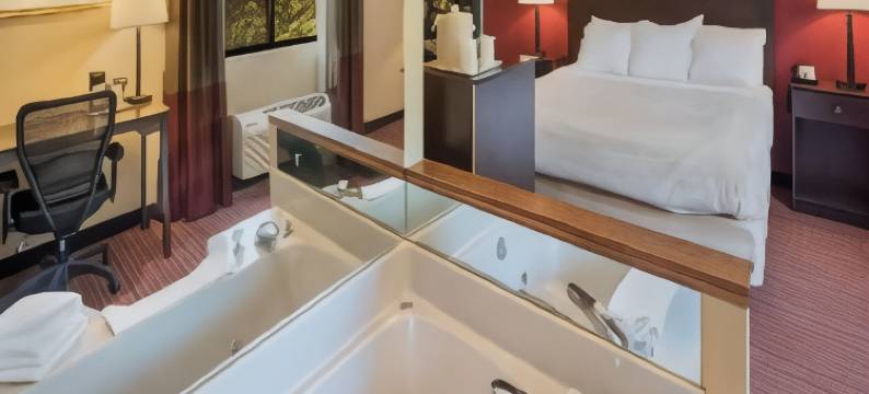 丹维尔梧桐贝斯特韦斯特酒店(Best Western Sycamore Inn)图片