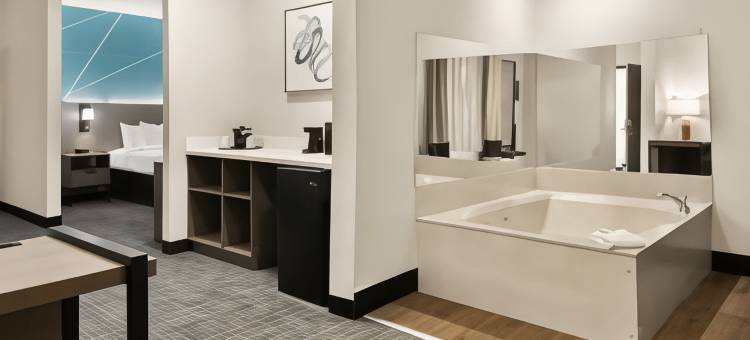 舒适套房酒店(沃斯堡北化石溪)(Comfort Suites Fort Worth North Fossil Creek)图片