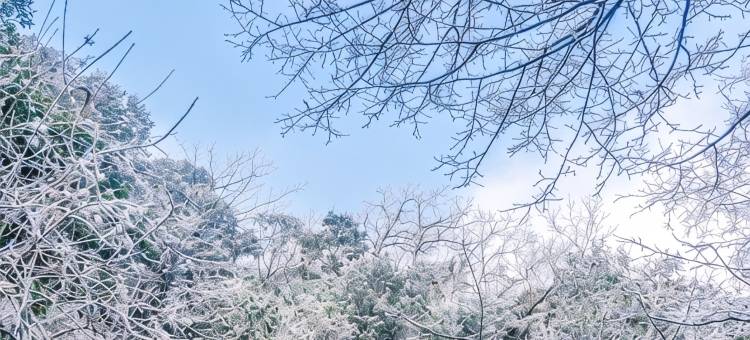 清远金子山森林雪谷壮瑶民宿图片