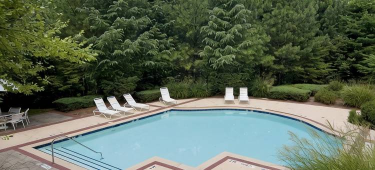 罗利/瑰珀翠谷Homewood Suites by Hilton(Homewood Suites by Hilton Raleigh - Crabtree Valley)图片