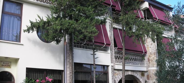 巴隆酒店(Hotel Baron)图片