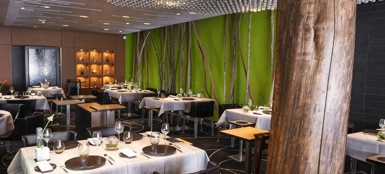 红帽子酒店(Chapeau Rouge PAR William Frachot - Hôtel Espace Bien-être & Restaurant étoilé)图片