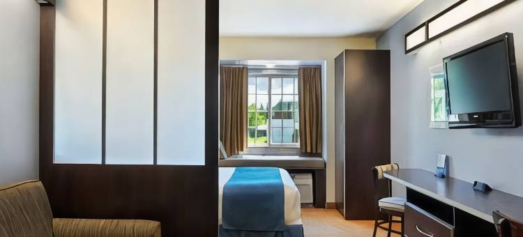 日内瓦麦客达套房酒店(Microtel Inn & Suites by Wyndham Geneva)图片