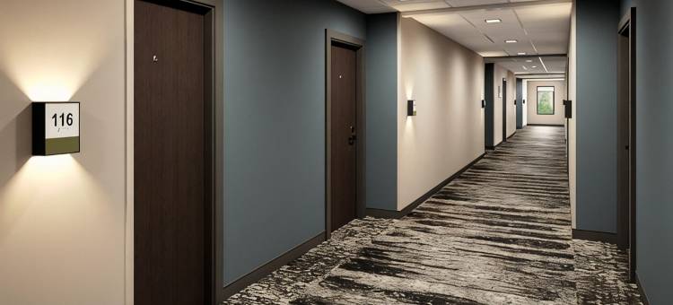 迈阿密布里克尔阿特维尔套房酒店(Atwell Suites MIAMI BRICKELL by IHG)图片