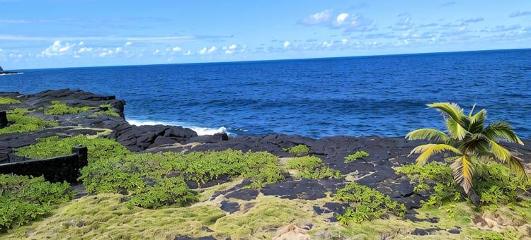 海滨家庭旅馆-观鲸季11月至5月 立即预订！(Ocean Front Home - Whale Watching Starts Nov-May! Book Now!)图片