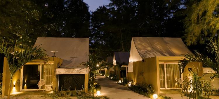 阿莎海滩俱乐部度假村(Asha Beach Club & Resort)图片