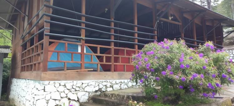 DP普查克酒店(Penginapan Puncak DP)图片