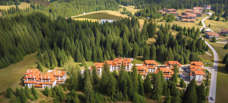 山中湖酒店(Mountain Lake Hotel)图片