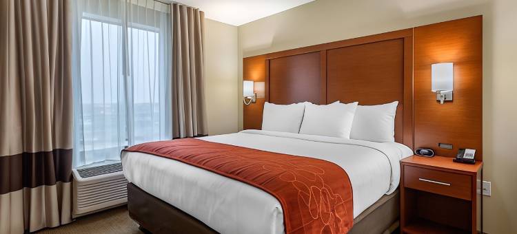 舒适套房酒店(Comfort Suites)图片