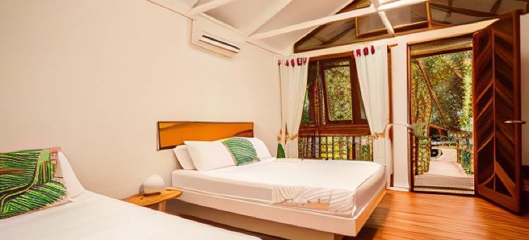 丹特里怀尔德尼斯洛奇酒店(Daintree Wilderness Lodge)图片