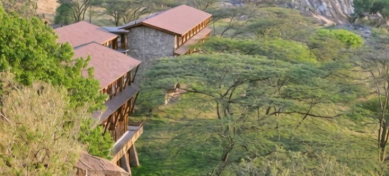 狼之野生动物小屋(Lobo Wildlife Lodge)图片