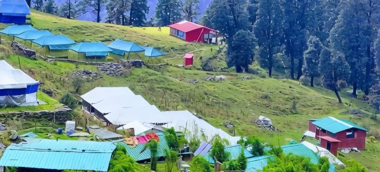 楚普塔河畔营地(River side camp chopta)图片