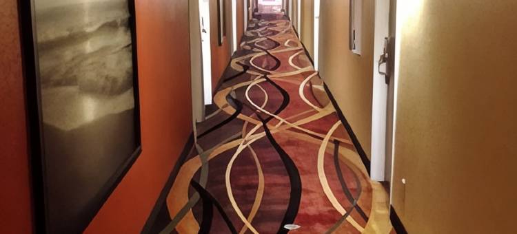 布鲁金斯温德姆速8酒店(Super 8 by Wyndham Brookings)图片