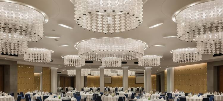 阿巴撒酒店(Avasa Hotel)图片