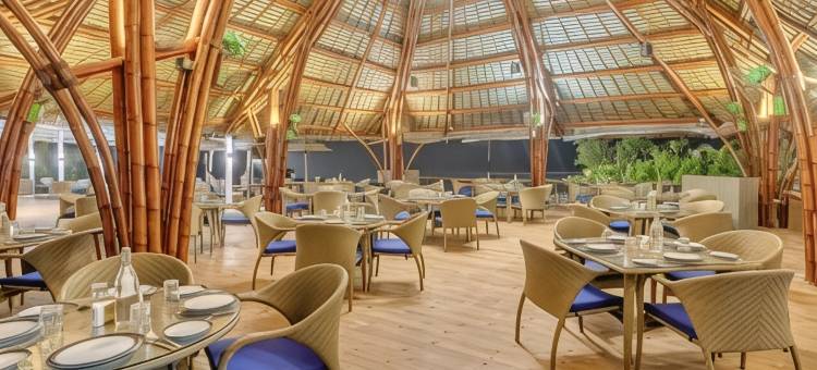 果阿梅菲尔海上酒店(Mayfair on Sea, Morjim Beach, Goa)图片