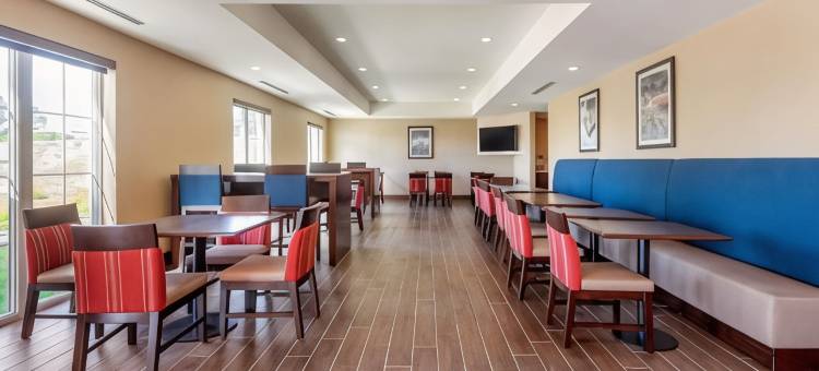 舒适套房酒店(Comfort Inn & Suites)图片