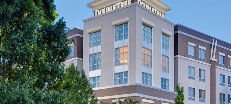 巴吞鲁日希尔顿逸林酒店(DoubleTree by Hilton Hotel Baton Rouge)图片