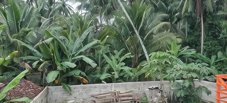 Homestay Teluk Pangpang Banyuwangi图片