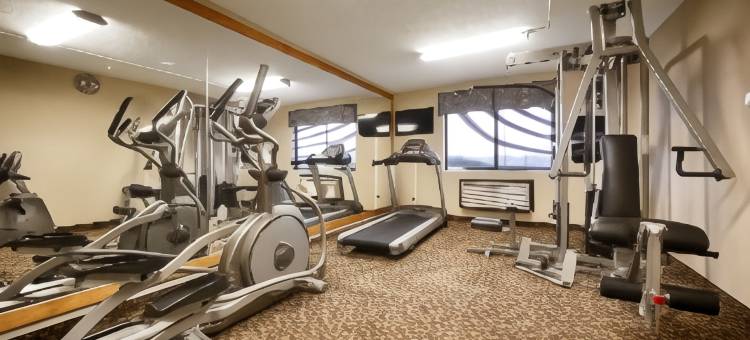 旁蒂克贝斯特韦斯特酒店(Best Western Pontiac Inn)图片