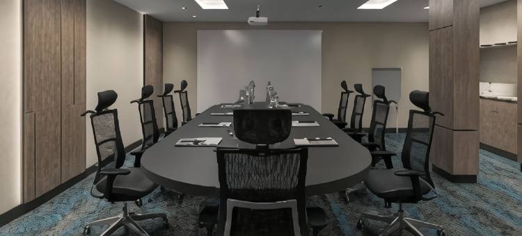 特拉布宗 Hilton 逸林套房Yomra(DoubleTree by Hilton Suites Trabzon Yomra)图片