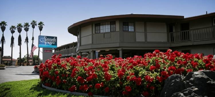 金沙海汽车旅馆(Sands by the Sea Motel)图片