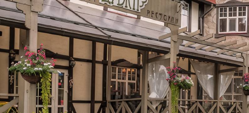 布里兹涅杜布基旅馆(Guest House Blizhnie Dubki)图片