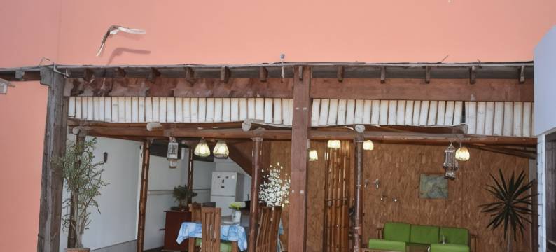 马鲁哈圣巴托洛家庭旅馆(La Casa Maruja)图片