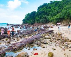 深圳中秋趕海好去處｜多元地形玩法精選