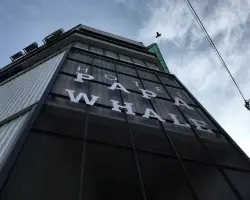 外觀